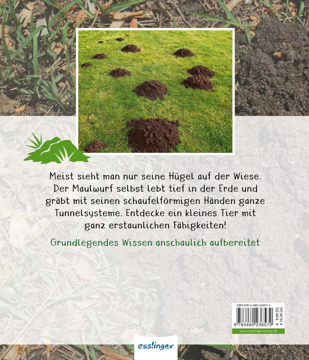 Meine große Tierbibliothek: Der Maulwurf | Poschadel, Jens