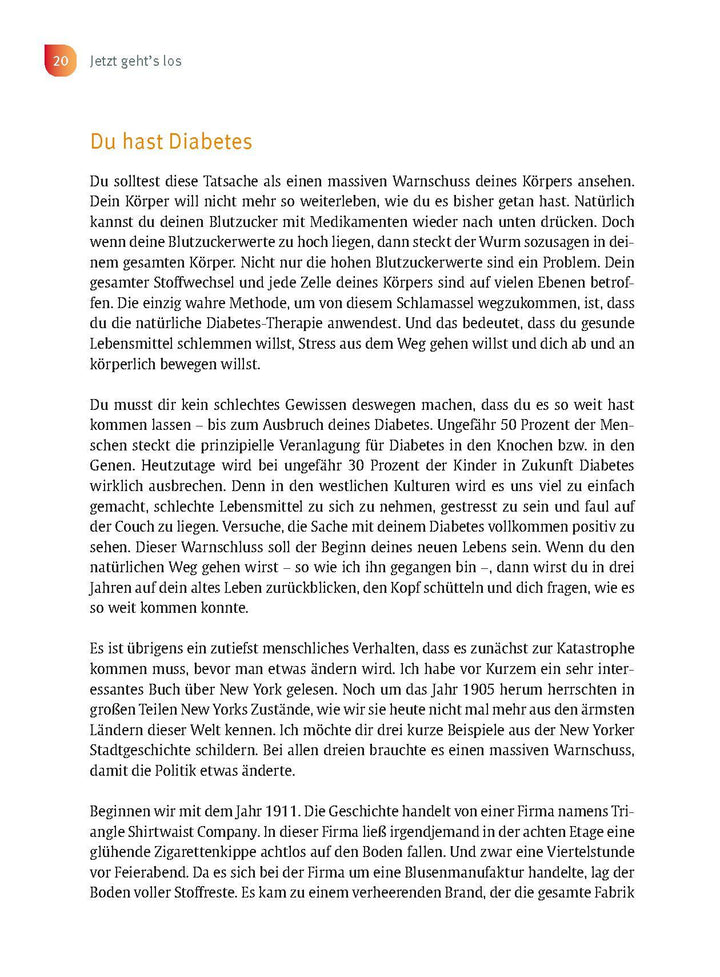 Der Anti-Diabetes-Plan - Das Praxisbuch | Limpinsel, Rainer