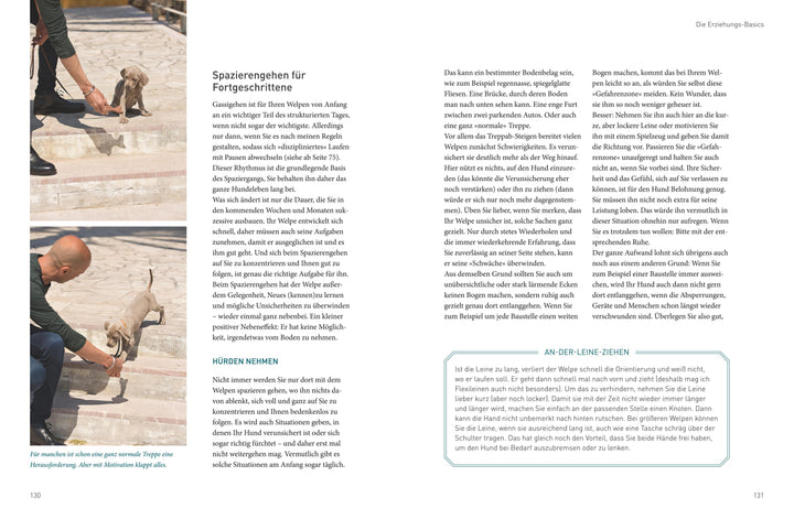 José Arces Welpenbuch | Arce, José