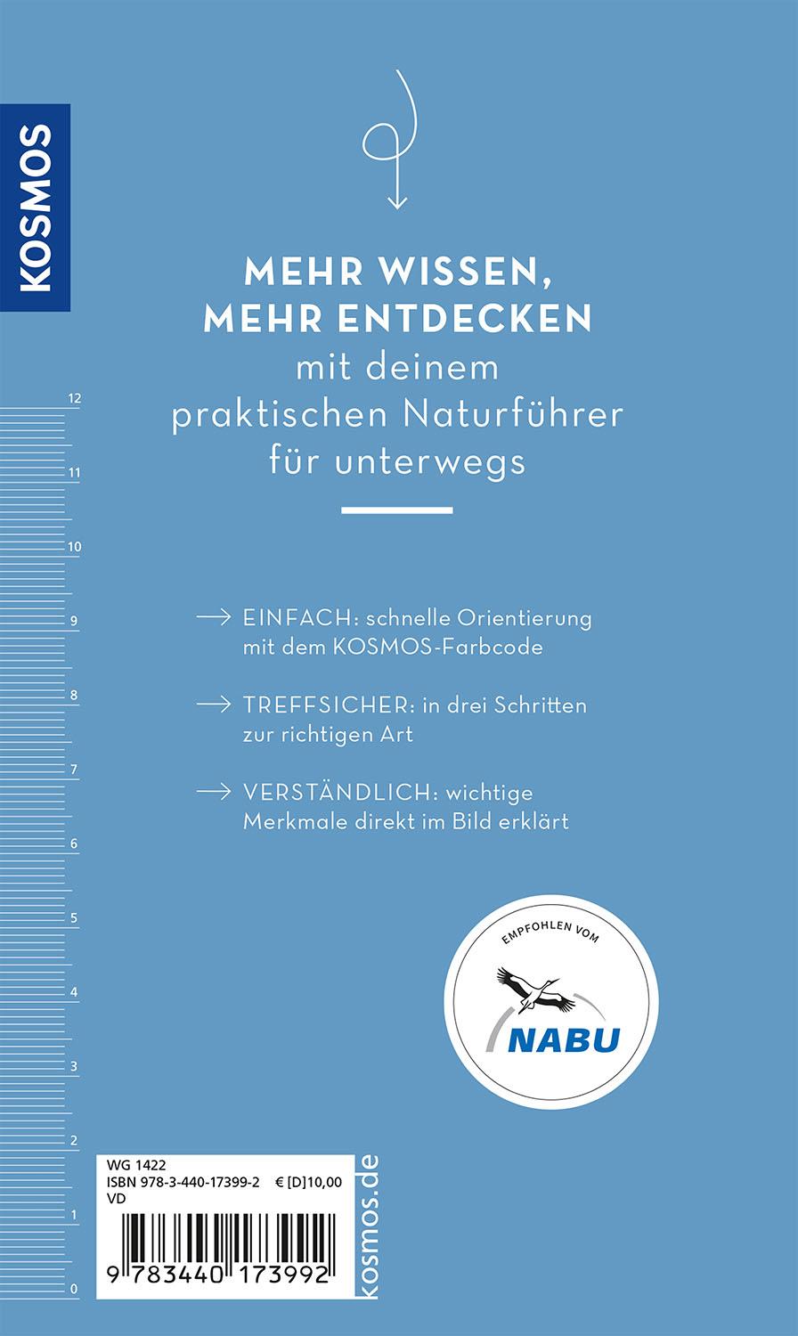 Basic Alpenblumen | Griebl, Norbert