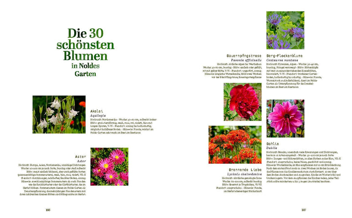 Der Garten von Emil Nolde | Moeller, Magdalena