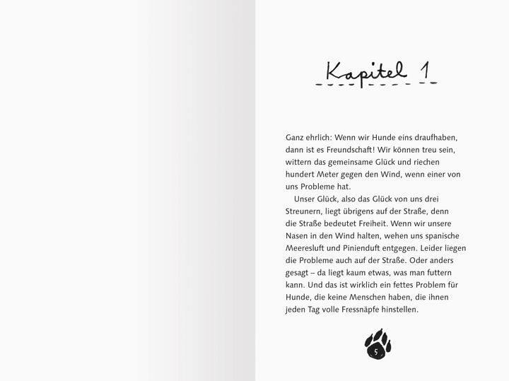 3 Streuner wittern das Abenteuer | Fröhlich, Anja