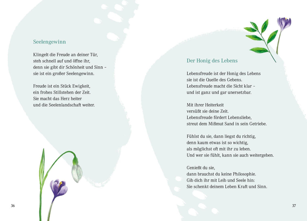 Die Magie des Lächelns | Kruppa, Hans