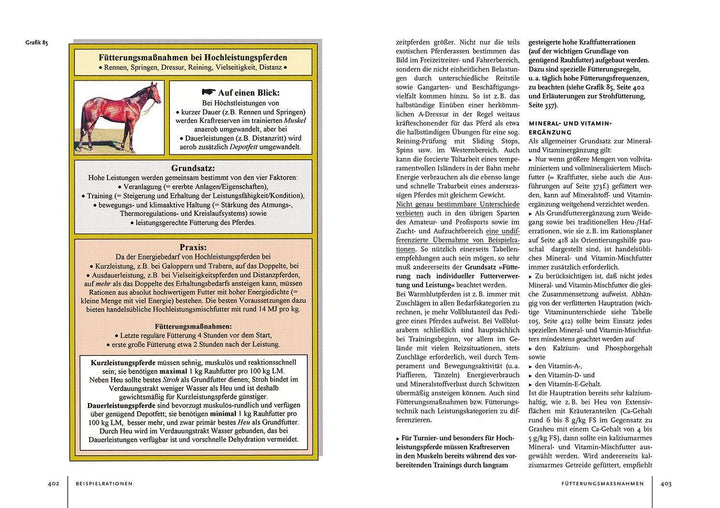 Pferdehaltung und -fütterung | Bender, Ingolf