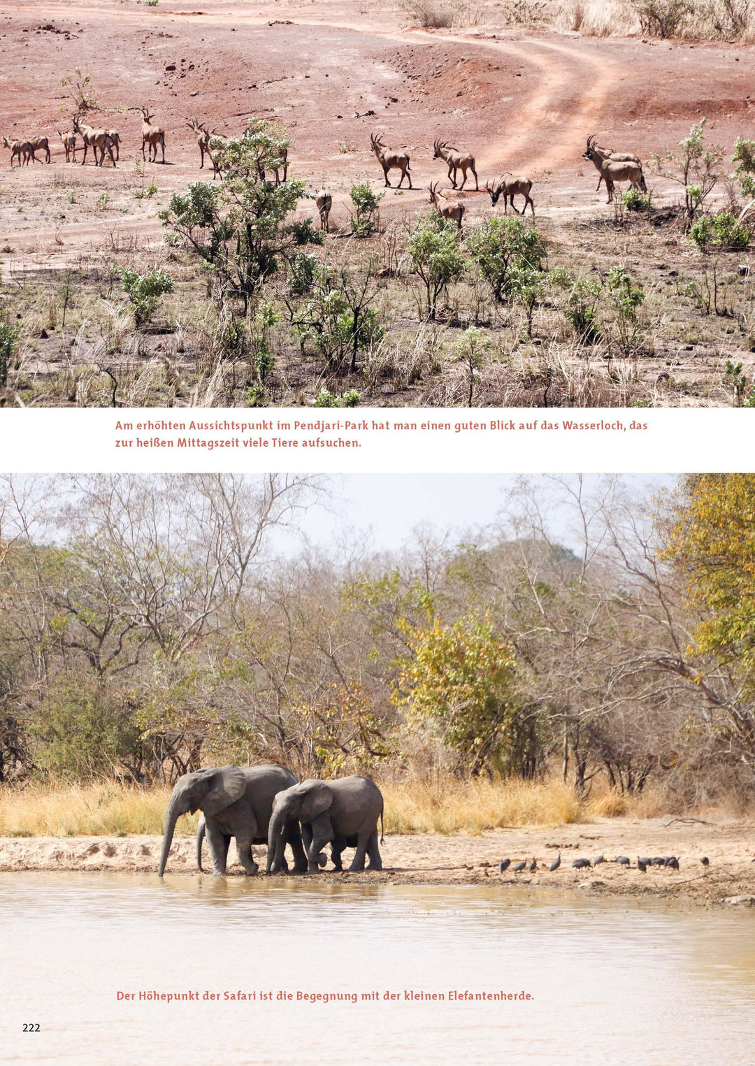 Mit dem Oldtimer durch Westafrika | Hüttinger, Berit | Helmberger, Andreas