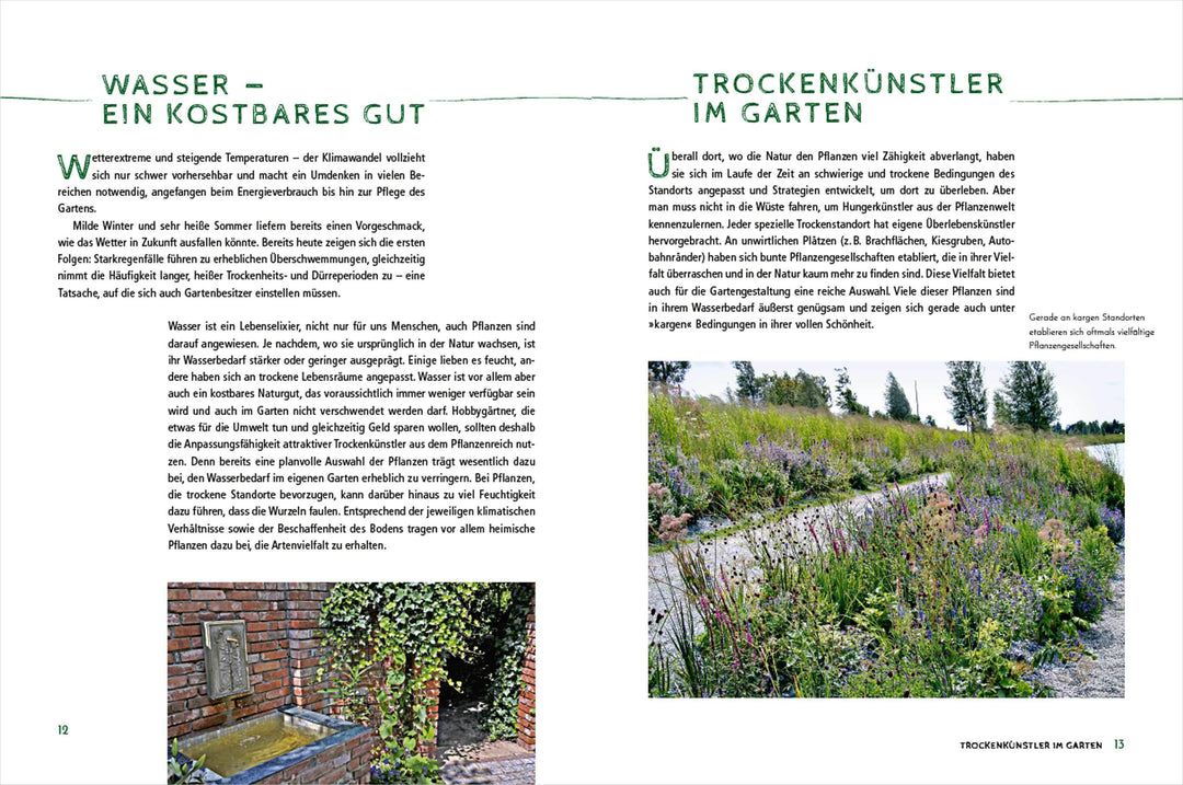 Die schönsten Pflanzen, die wenig Wasser brauchen für Garten, Balkon und Ter...