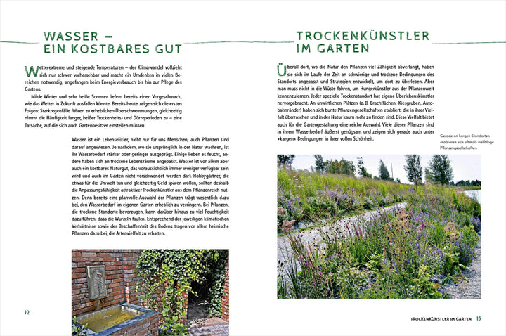 Die schönsten Pflanzen, die wenig Wasser brauchen für Garten, Balkon und Ter...