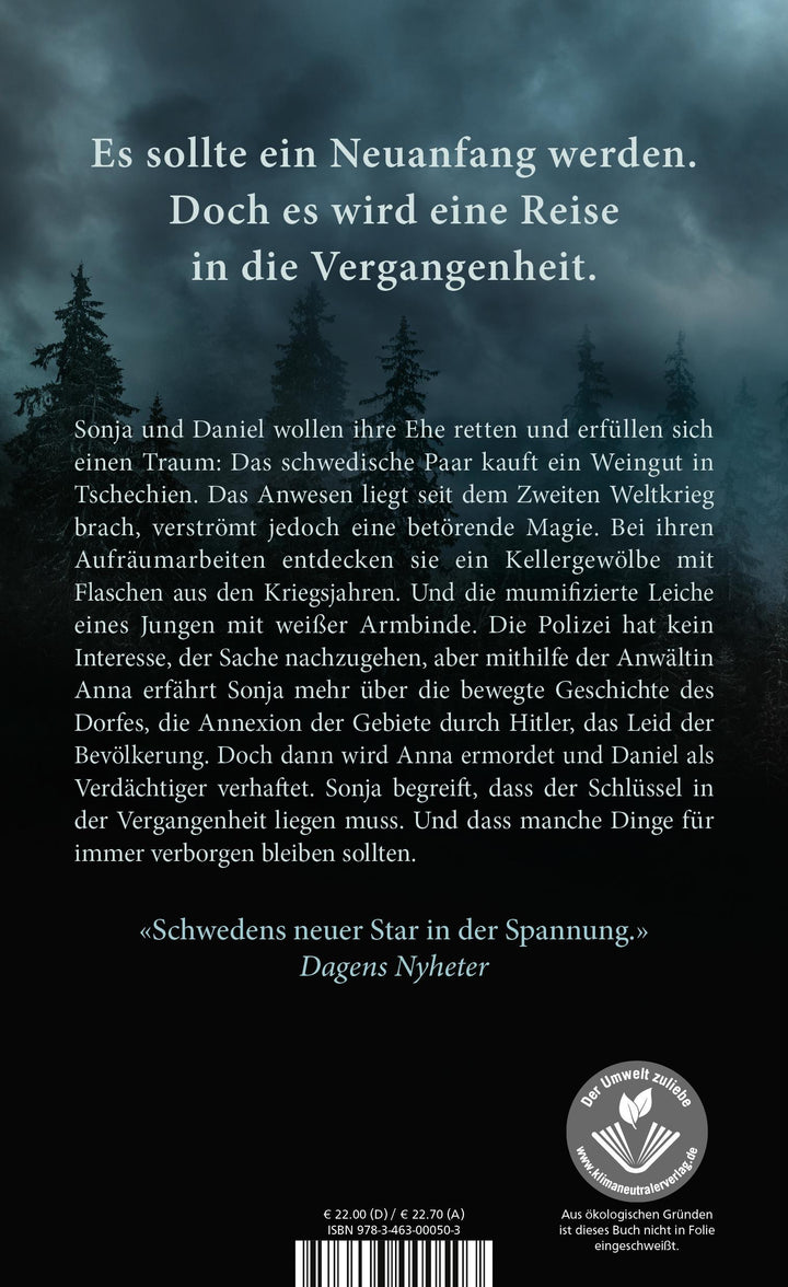 Blinde Tunnel | Alsterdal, Tove