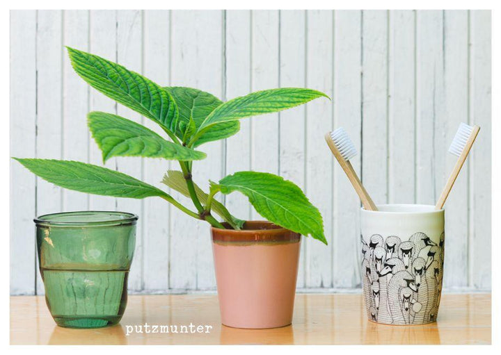 feste feiern - Postkartenbuch | Brall, Stephanie