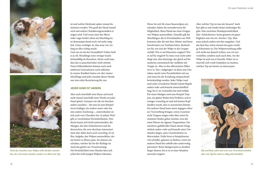 José Arces Welpenbuch | Arce, José