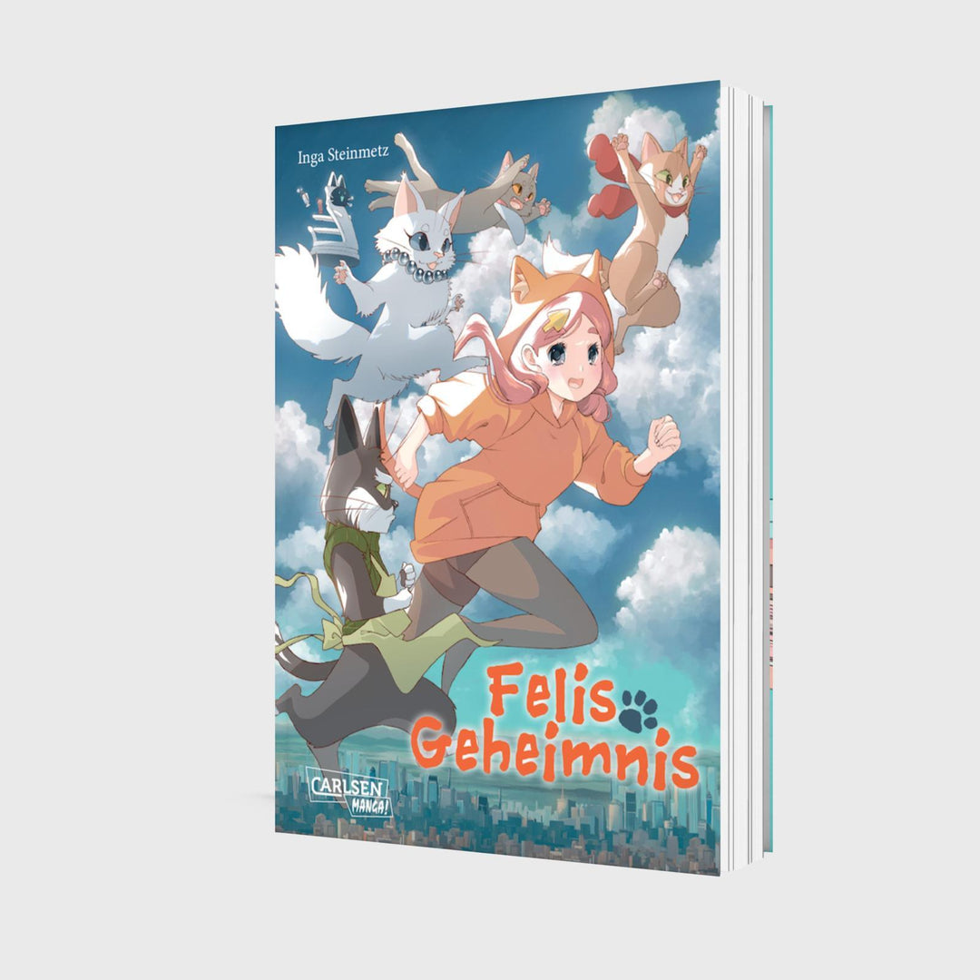Felis Geheimnis | Steinmetz, Inga