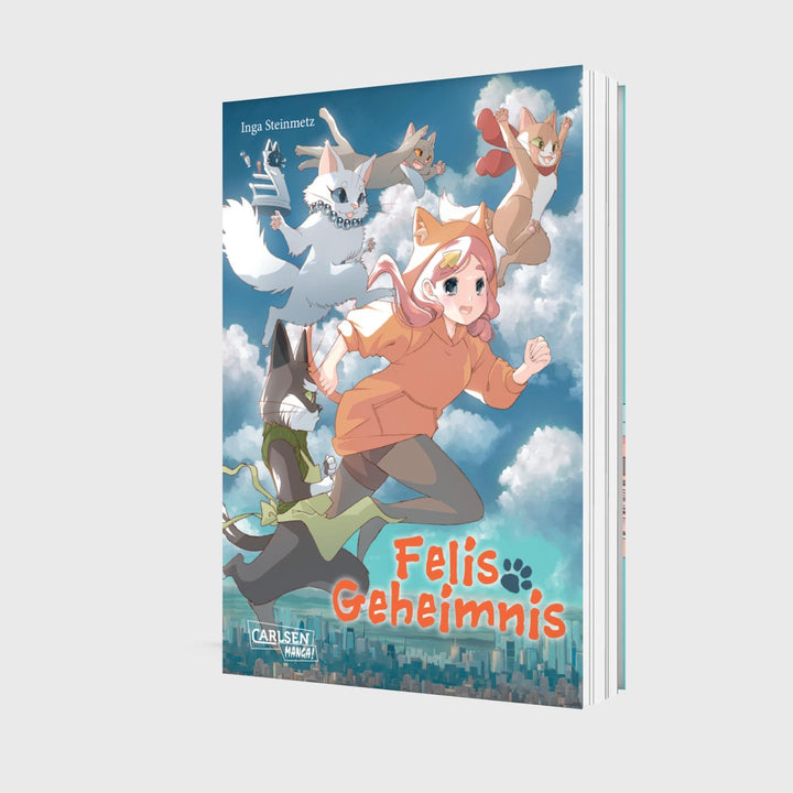 Felis Geheimnis | Steinmetz, Inga