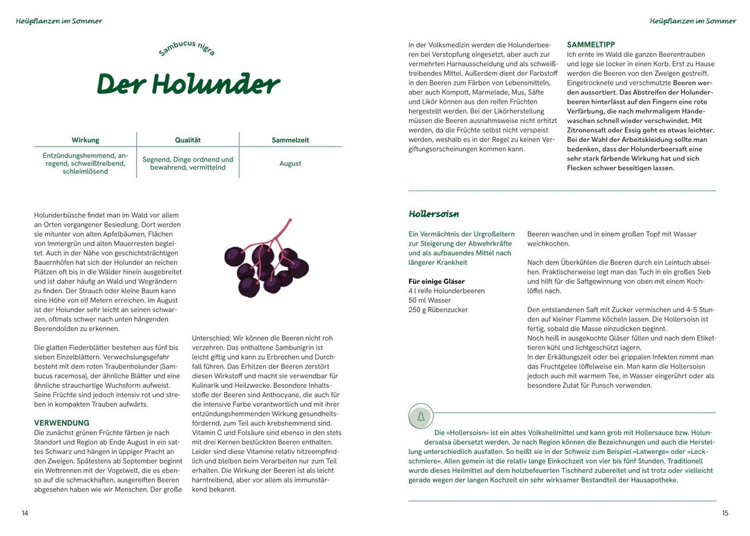 Die große Waldapotheke | Eilmsteiner, Sabine