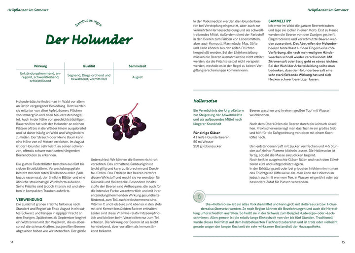 Die große Waldapotheke | Eilmsteiner, Sabine