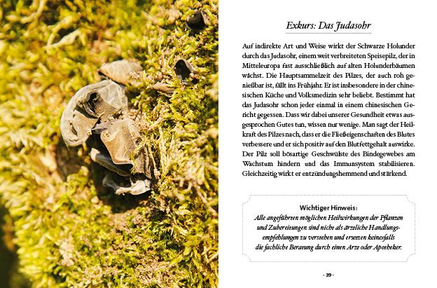 Das große kleine Buch: Holunderzeit | Klaushofer, Brigitta