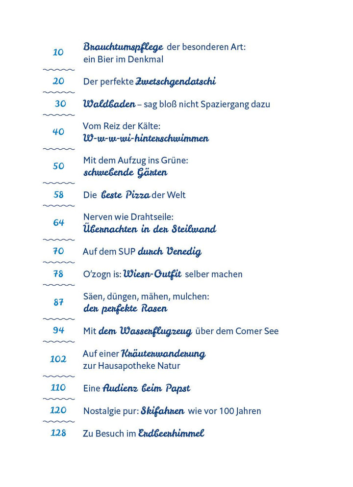 Der Schmidt Max macht ein Buch | Schmidt, Max