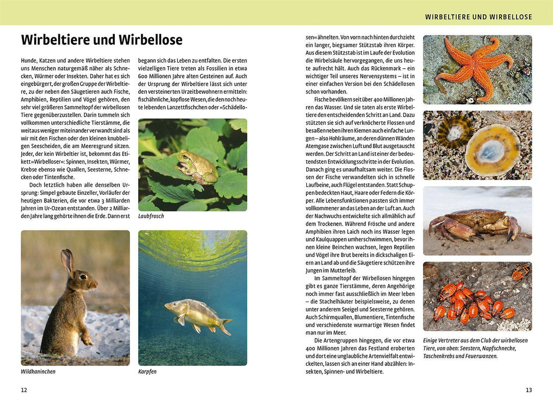 Der große Kosmos-Naturführer Tiere und Pflanzen | -