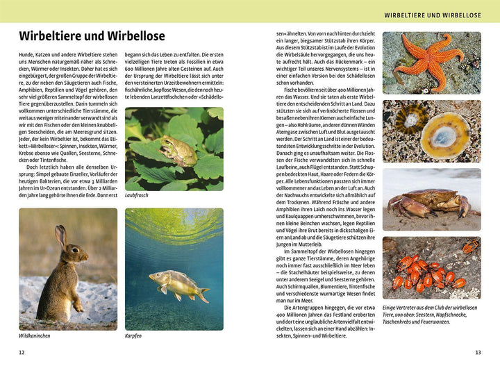 Der große Kosmos-Naturführer Tiere und Pflanzen | -