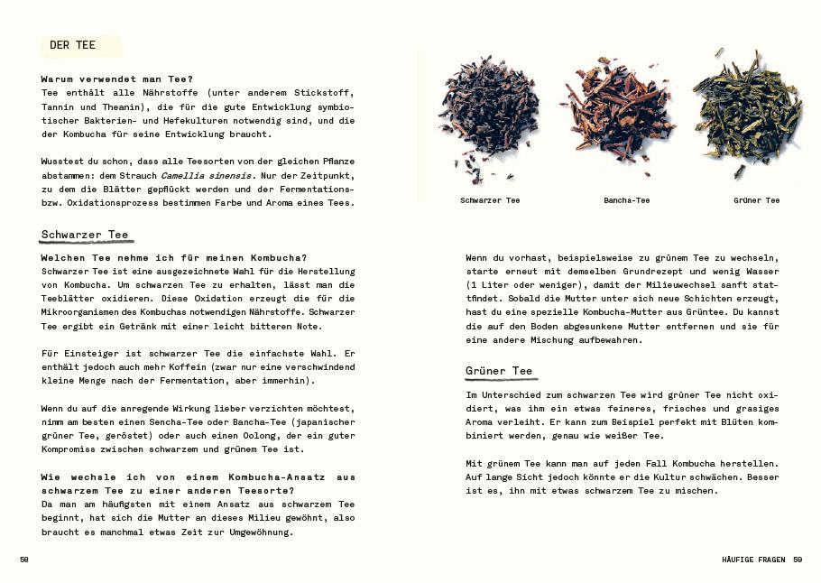 Kombucha do it yourself | Ponge, Julie