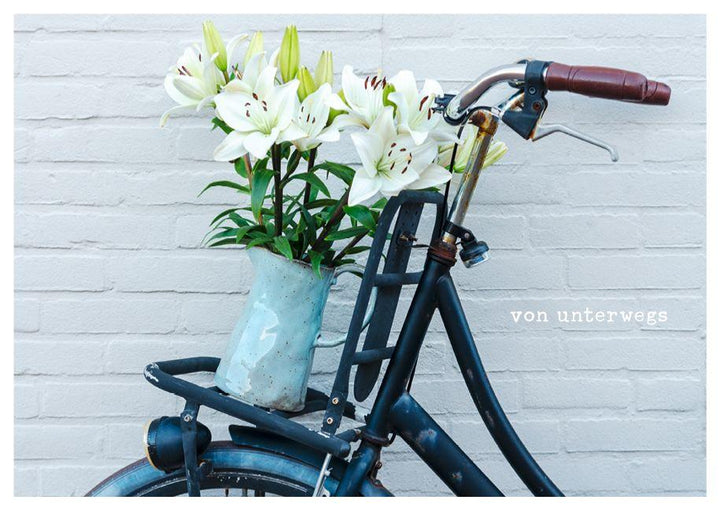 feste feiern - Postkartenbuch | Brall, Stephanie