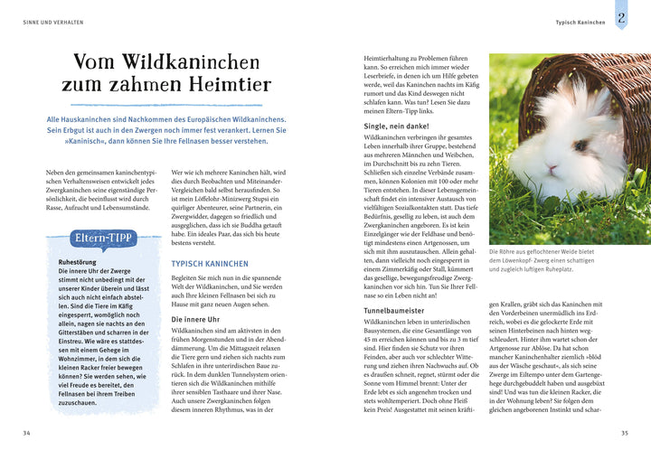 Liebenswerte Zwergkaninchen | Wegler, Monika