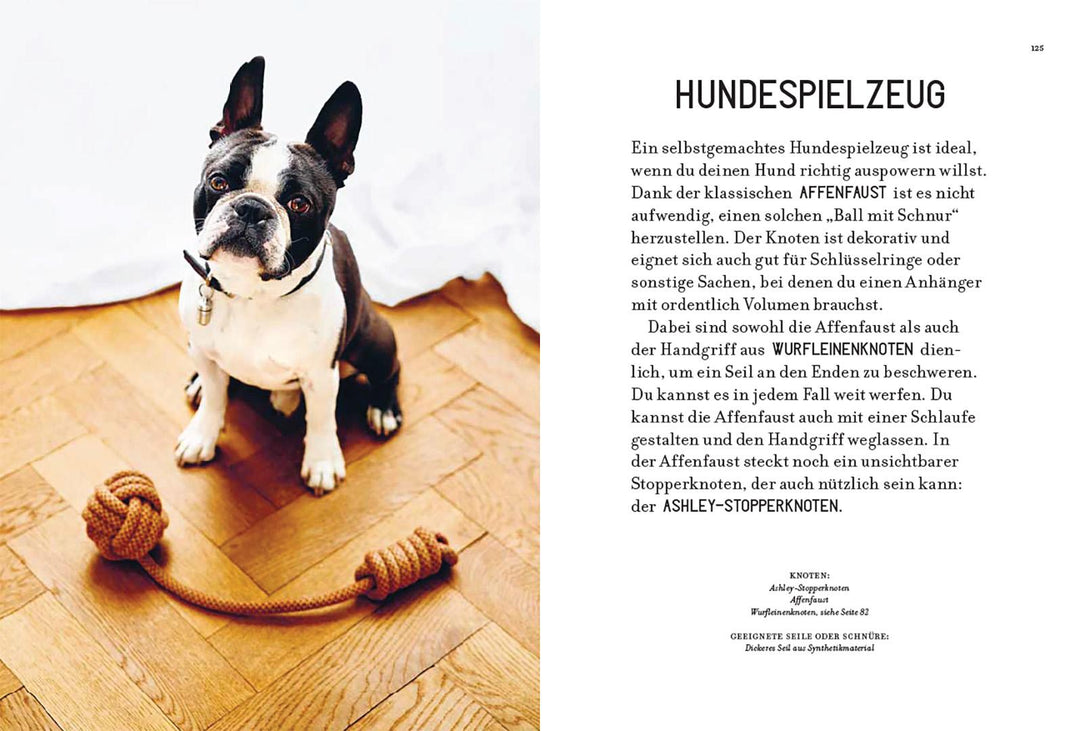 Knoten | Anagrius, Miki