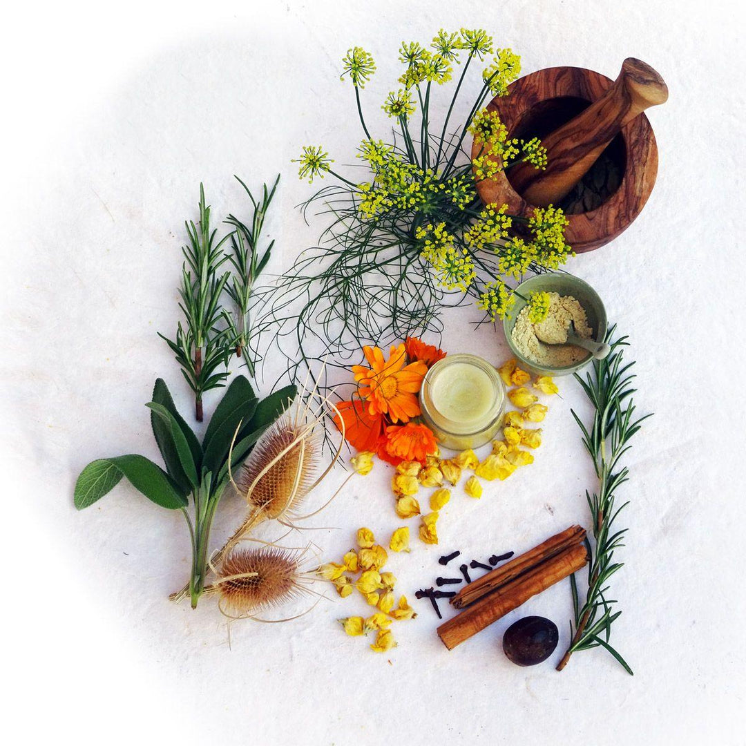 Einfach gesund. Das Hildegard von Bingen Gesundheitsbuch | Pregenzer, Brigitte