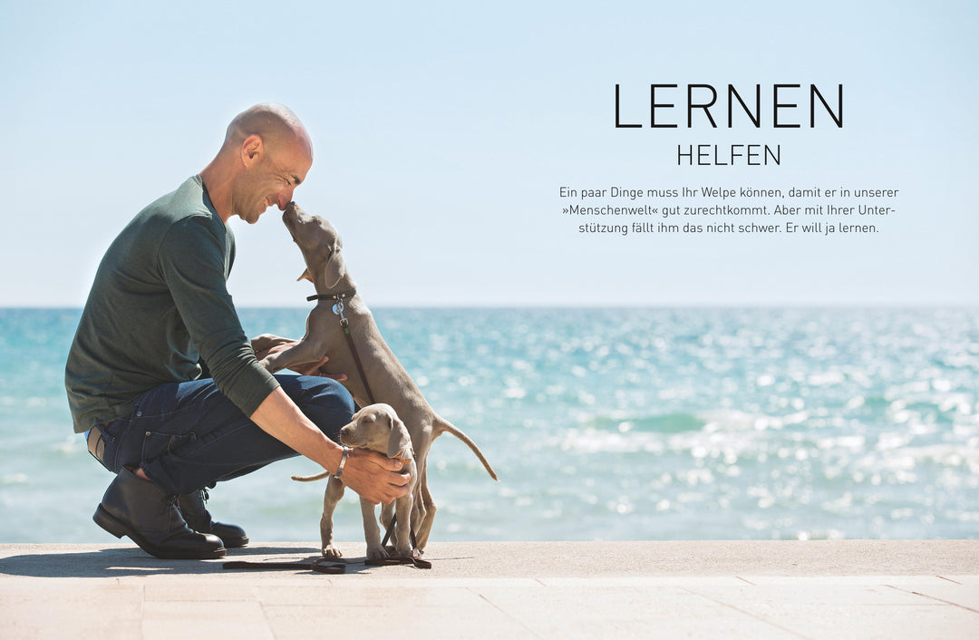 José Arces Welpenbuch | Arce, José