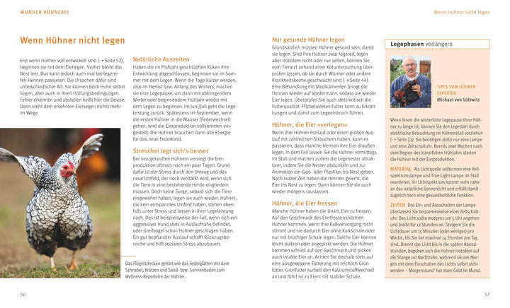 Hühner halten | Lüttwitz, Michael von