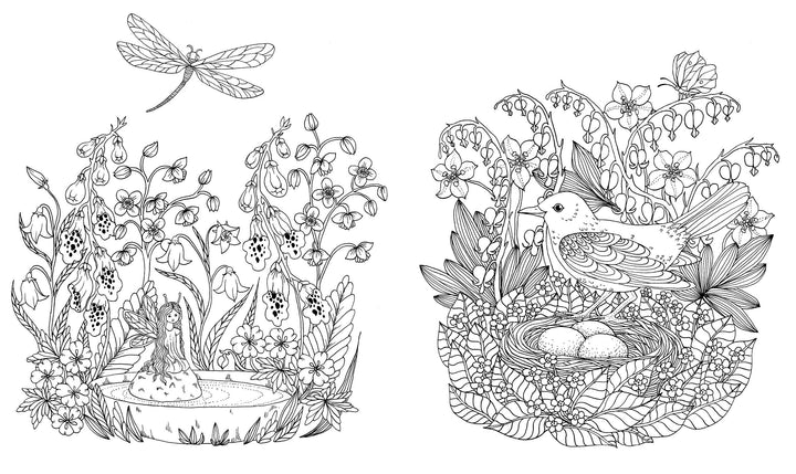 Bei Nacht - Ein Ausmalbuch | -