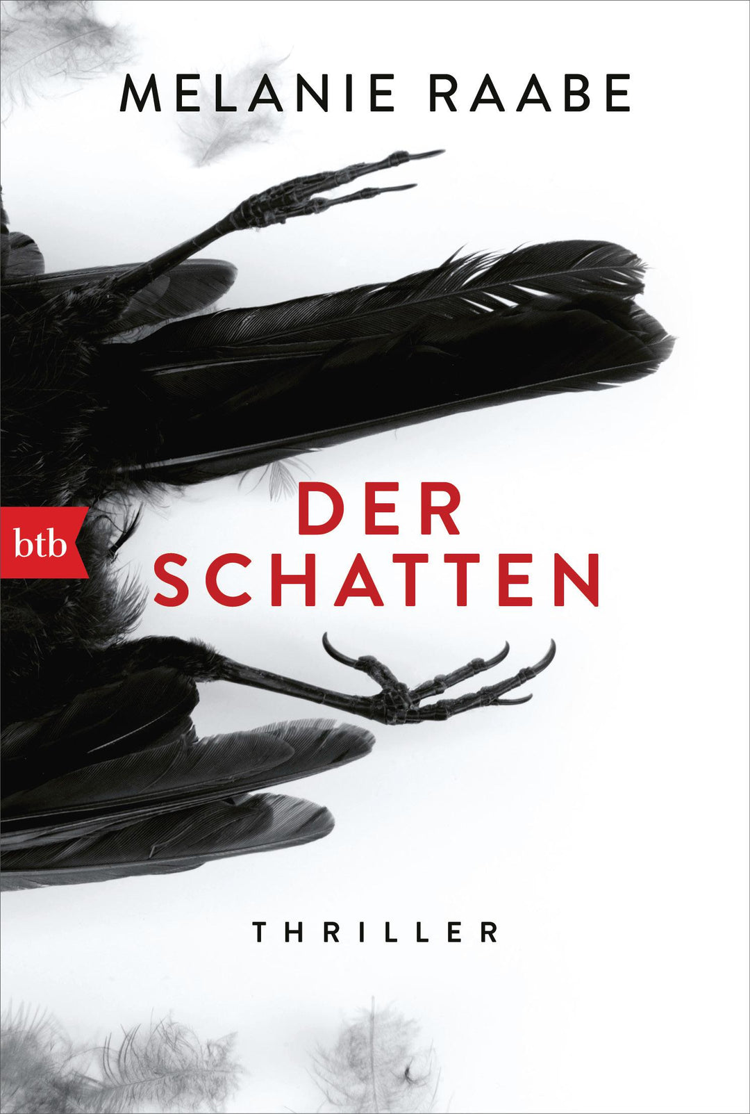 Der Schatten | Raabe, Melanie