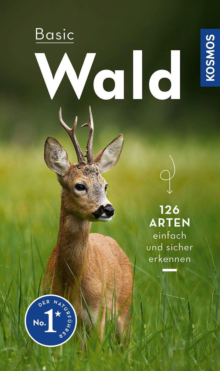 Basic Wald | Wilhelmsen, Ute