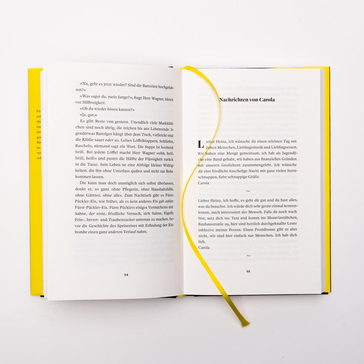 Der gelbe Elefant | Strunk, Heinz