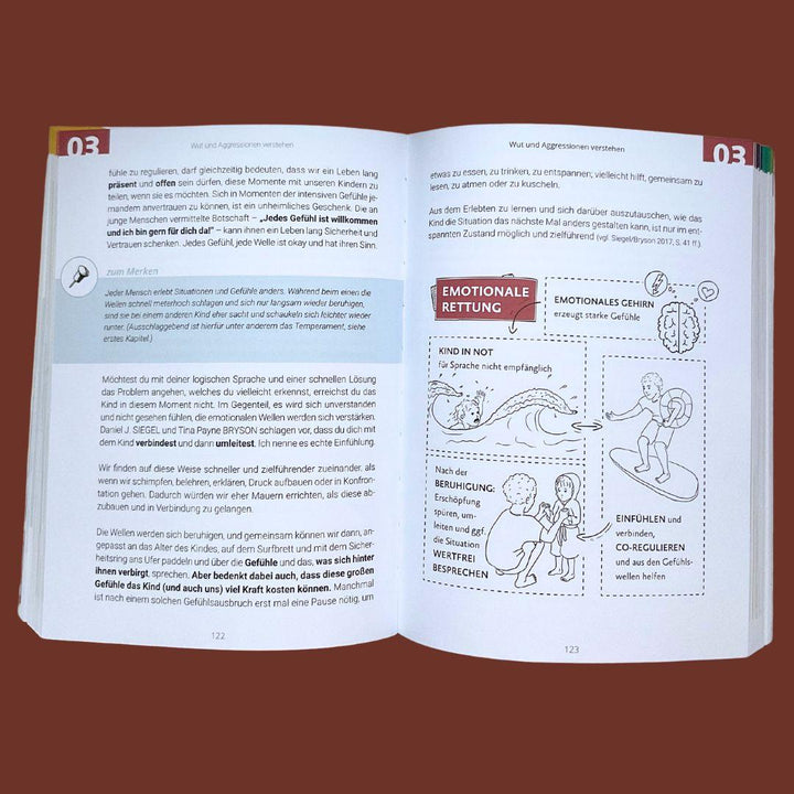 Gemeinsam durch die Wut | Hohmann, Kathrin