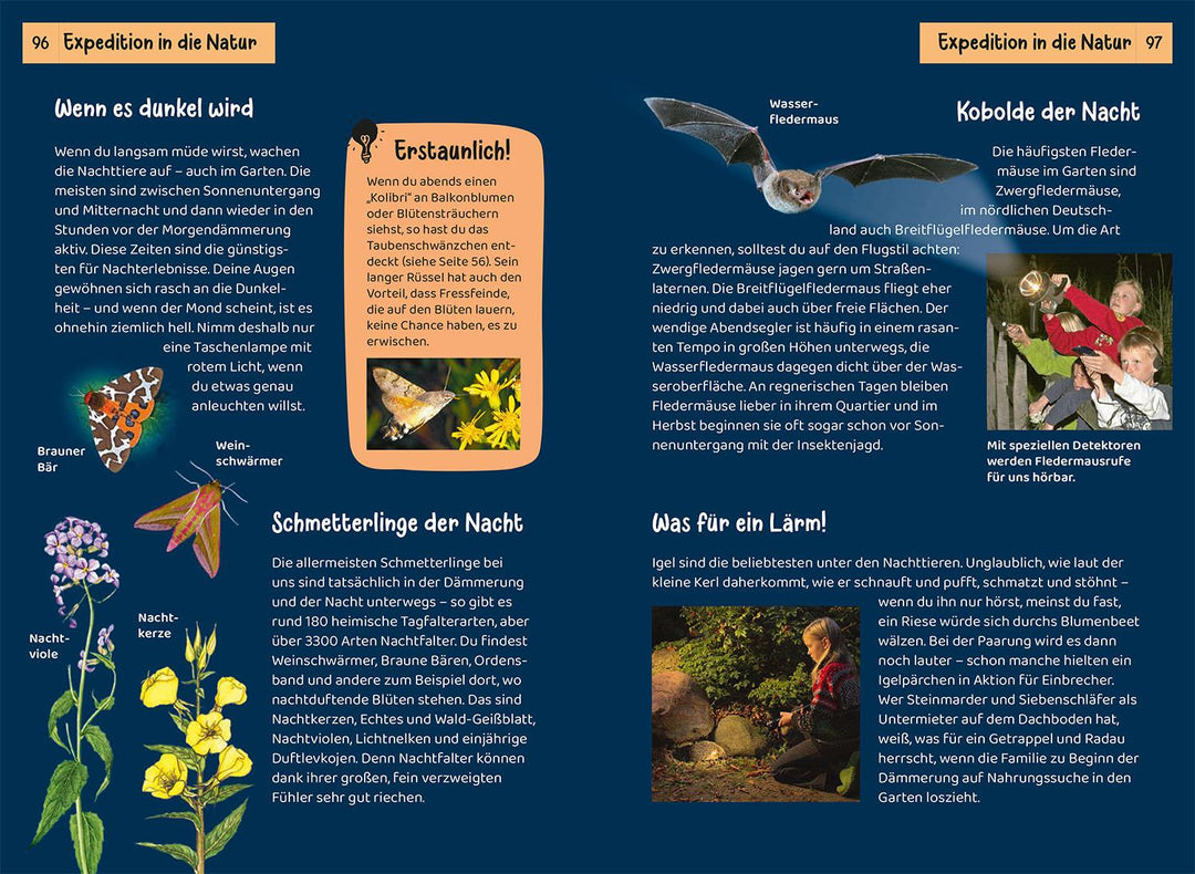 Was lebt im Garten? Kindernaturführer | Oftring, Bärbel