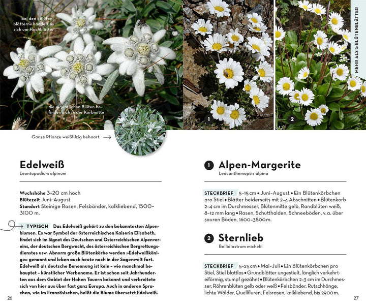 Basic Alpenblumen | Griebl, Norbert