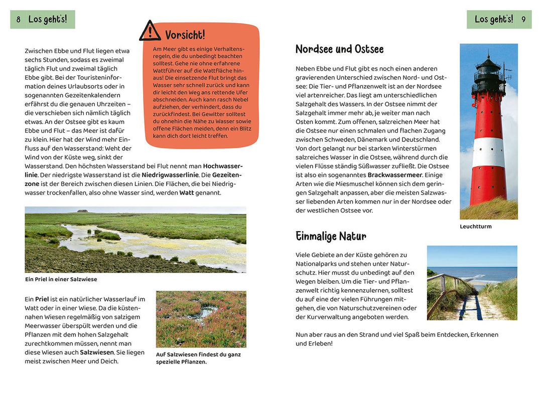 Was lebt an Strand und Küste? Kindernaturführer | Haag, Holger