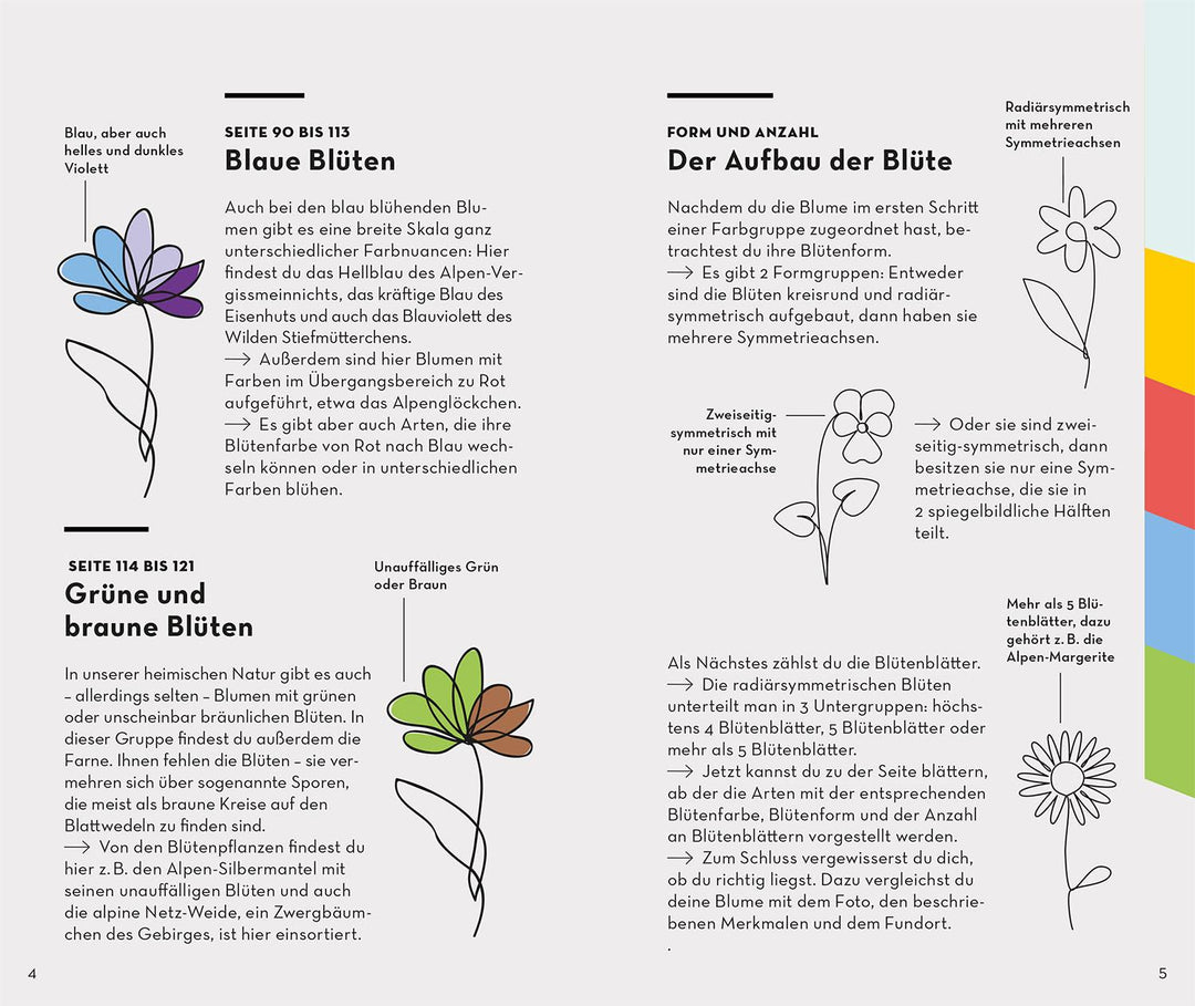 Basic Alpenblumen | Griebl, Norbert