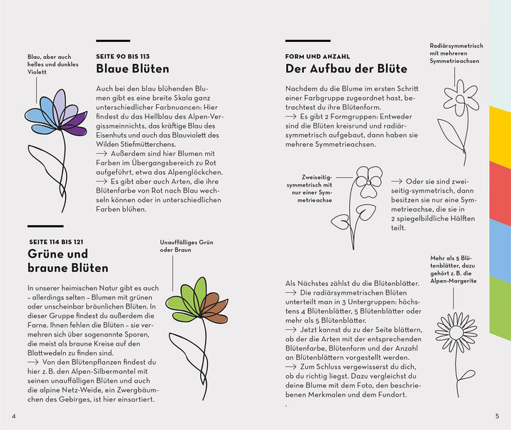 Basic Alpenblumen | Griebl, Norbert