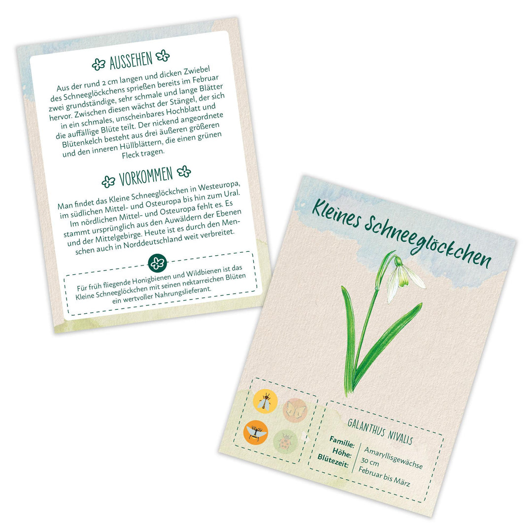 Lass es blühen - Wildblumen und Bienenblumen erkennen, inkl. Samentütchen | -