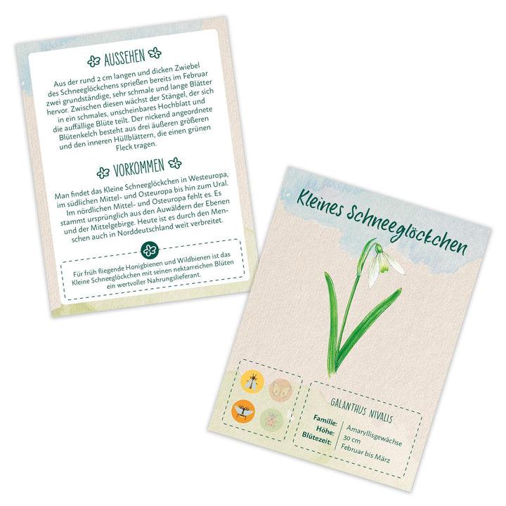 Lass es blühen - Wildblumen und Bienenblumen erkennen, inkl. Samentütchen | -