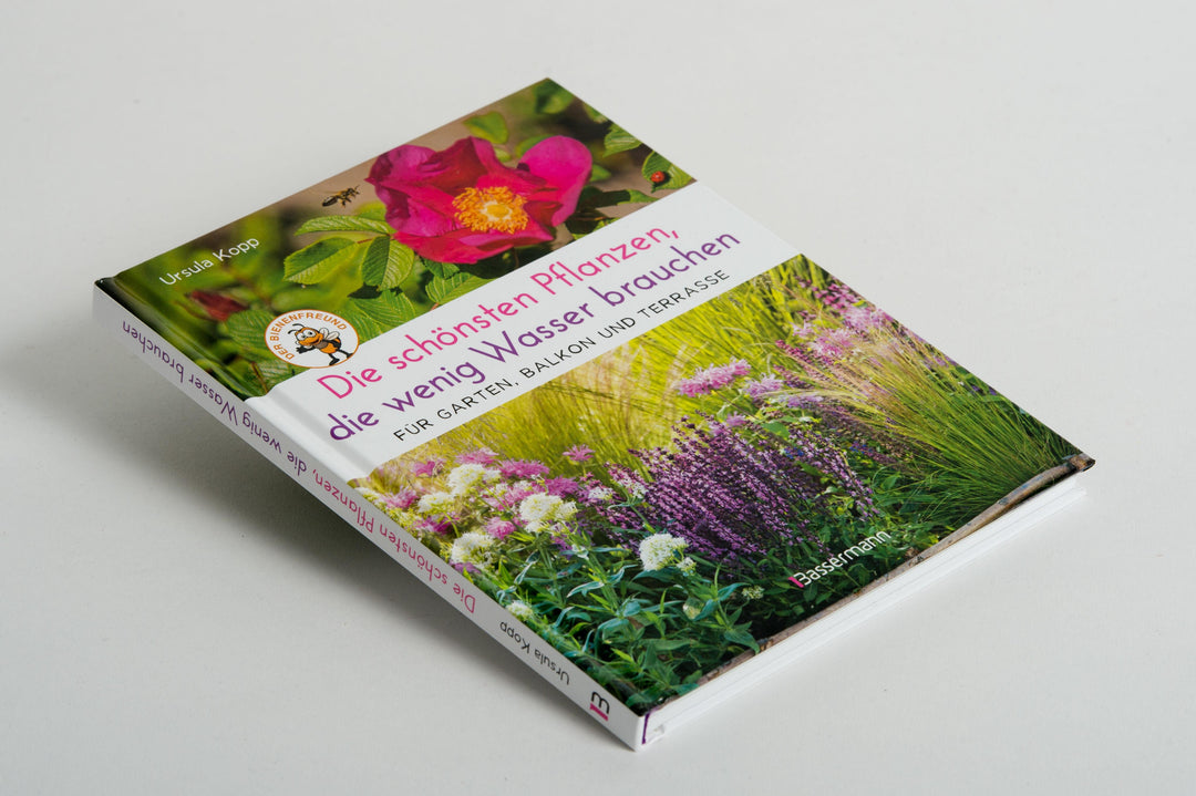 Die schönsten Pflanzen, die wenig Wasser brauchen für Garten, Balkon und Ter...