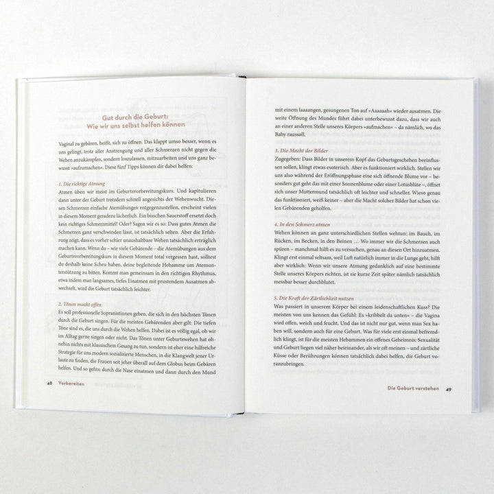 Das Geburtsbuch | Imlau, Nora