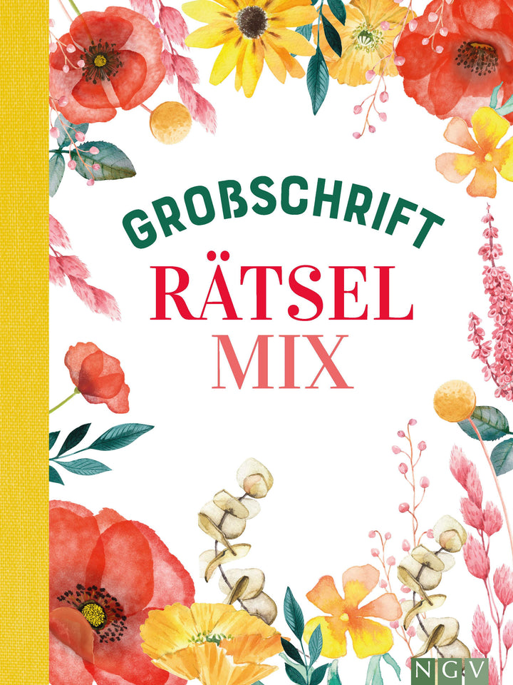 Großschrift Rätselmix | -