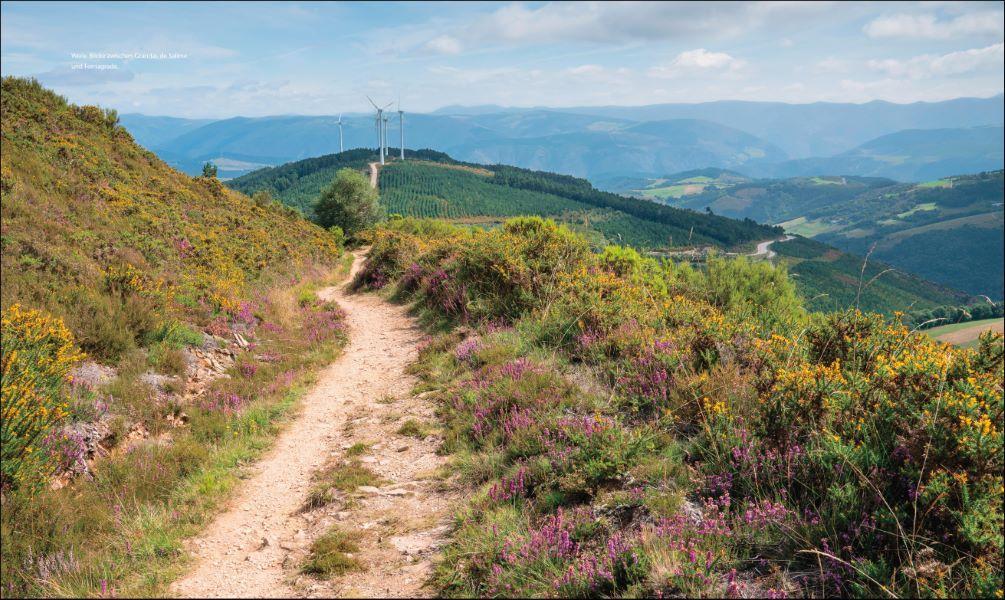 100 Highlights Jakobswege in Spanien und Portugal | Bisping, Stefanie | Schw...