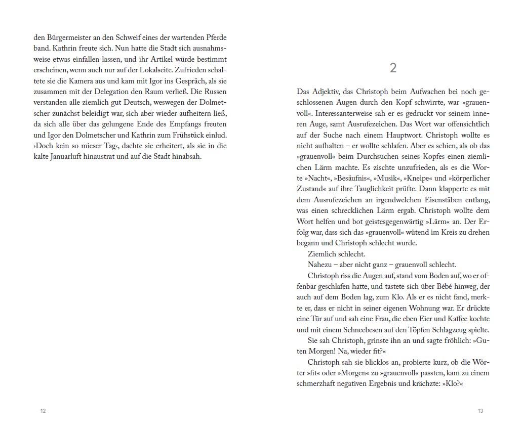 Don Fernando erbt Amerika (Erfolgsausgabe) | Arenz, Ewald