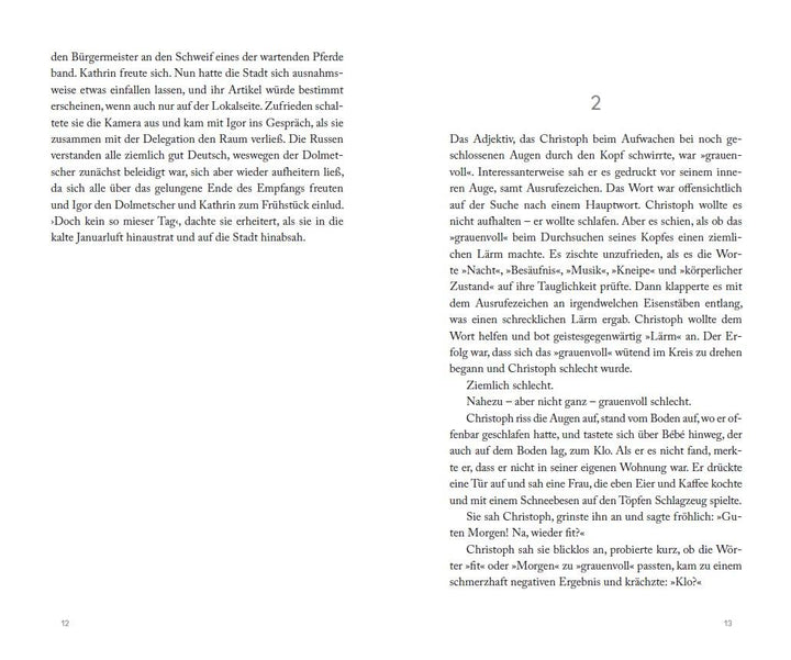 Don Fernando erbt Amerika (Erfolgsausgabe) | Arenz, Ewald