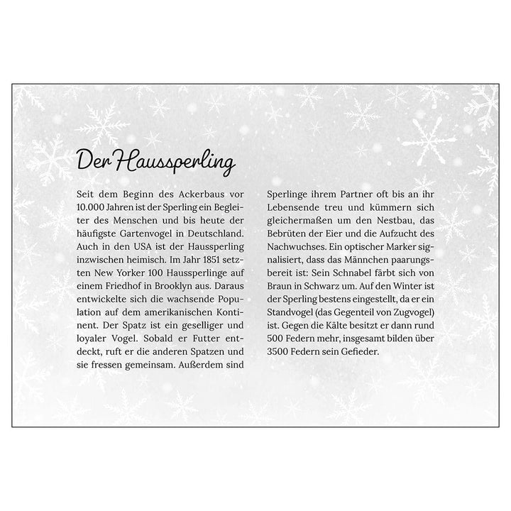 Heimische Tiere im Winter - der Adventskalender | -