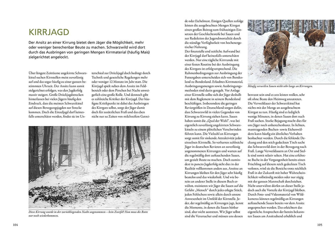 Nachtjagd auf Sauen | Gast, Michael | Balke, Martin Norbert