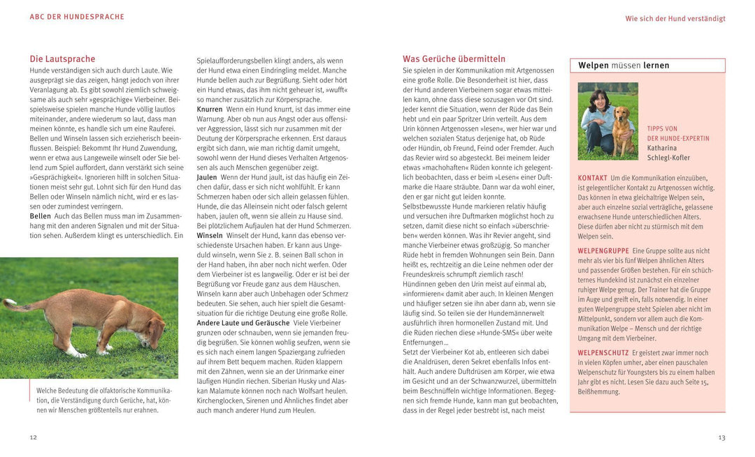 Hundesprache | Schlegl-Kofler, Katharina